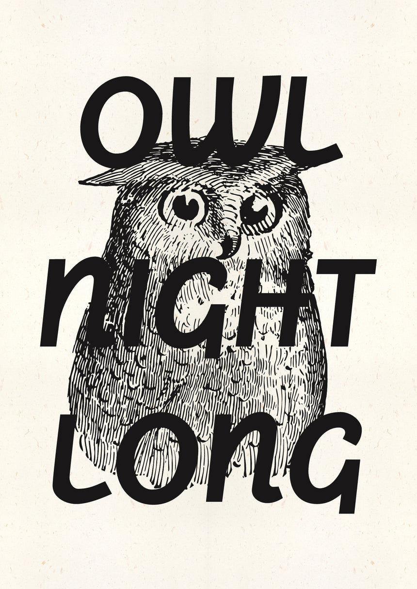 Owl Night Long (A3+)